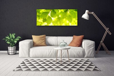 Canvas Kunstdruck Blätter Pflanzen