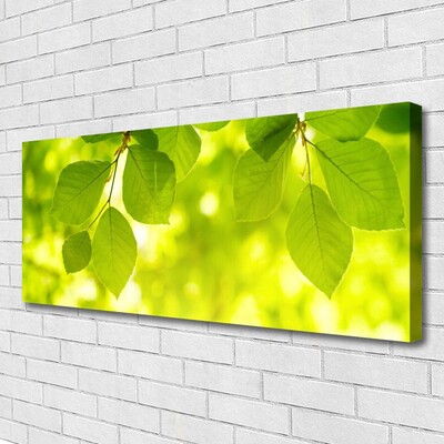 Canvas Kunstdruck Blätter Pflanzen