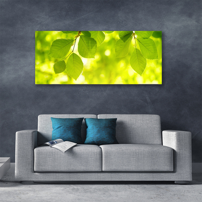 Canvas Kunstdruck Blätter Pflanzen