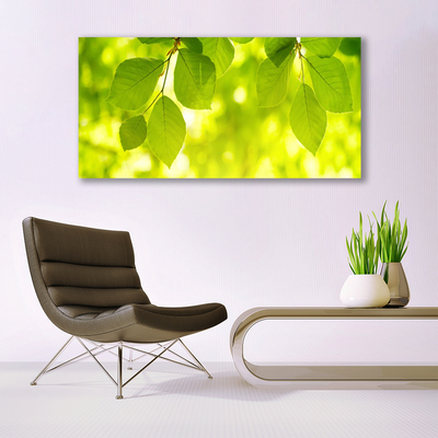 Canvas Kunstdruck Blätter Pflanzen