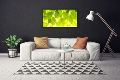 Canvas Kunstdruck Blätter Pflanzen