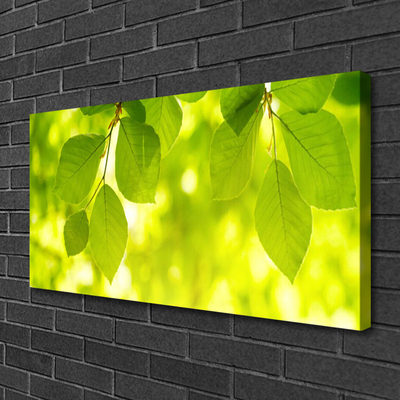 Canvas Kunstdruck Blätter Pflanzen