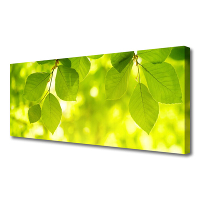 Canvas Kunstdruck Blätter Pflanzen