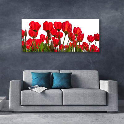 Canvas Kunstdruck Blumen Pflanzen