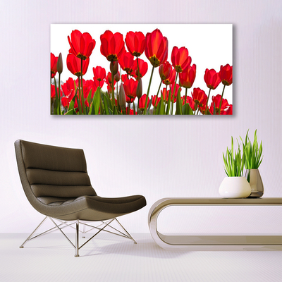 Canvas Kunstdruck Blumen Pflanzen