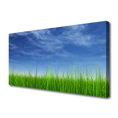 Canvas Kunstdruck Himmel Gras Natur