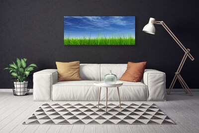 Canvas Kunstdruck Himmel Gras Natur