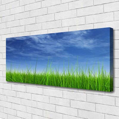 Canvas Kunstdruck Himmel Gras Natur