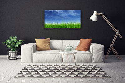 Canvas Kunstdruck Himmel Gras Natur