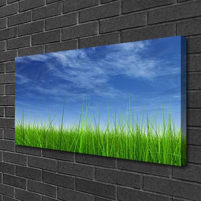 Canvas Kunstdruck Himmel Gras Natur