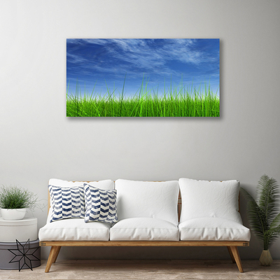 Canvas Kunstdruck Himmel Gras Natur