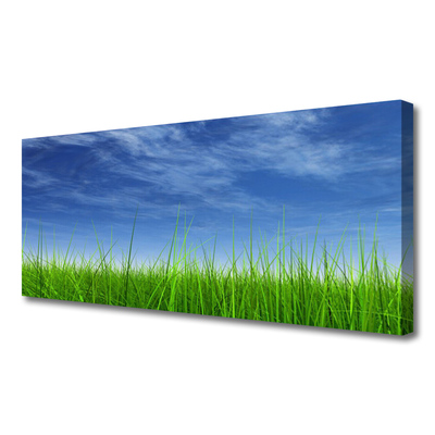 Canvas Kunstdruck Himmel Gras Natur