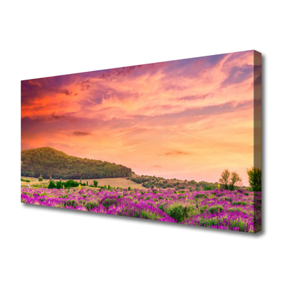 Canvas Kunstdruck Wiese Blumen Landschaft