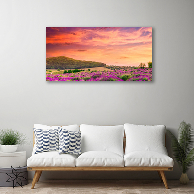 Canvas Kunstdruck Wiese Blumen Landschaft