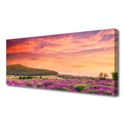 Canvas Kunstdruck Wiese Blumen Landschaft