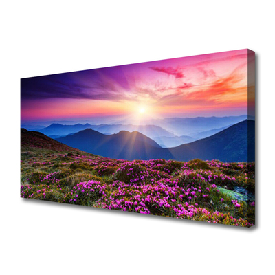 Canvas Kunstdruck Gebirge Wiese Blumen Landschaft