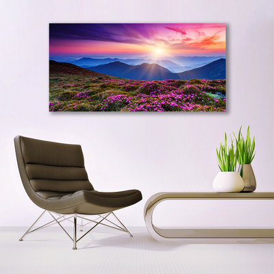 Canvas Kunstdruck Gebirge Wiese Blumen Landschaft