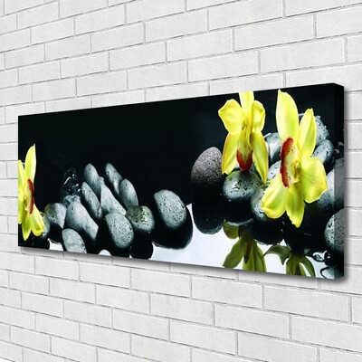 Canvas Kunstdruck Blumen Steine Pflanzen