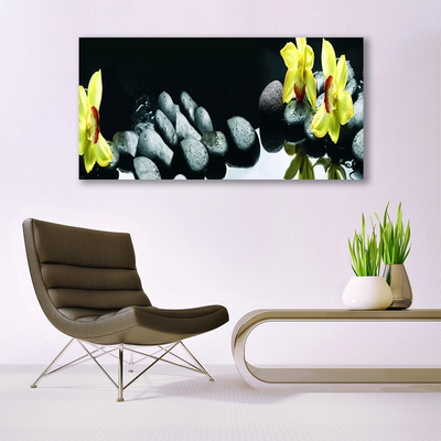 Canvas Kunstdruck Blumen Steine Pflanzen