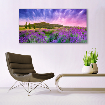 Canvas Kunstdruck Wiese Blumen Gebirge Natur