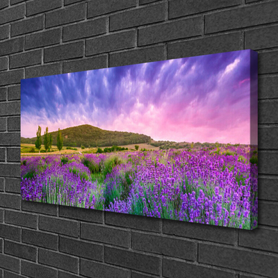 Canvas Kunstdruck Wiese Blumen Gebirge Natur