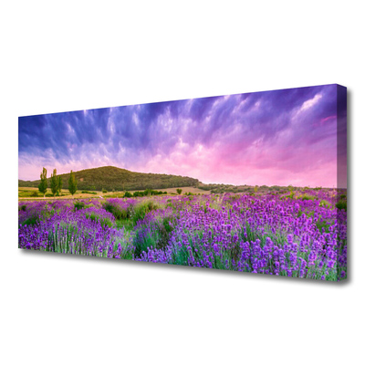 Canvas Kunstdruck Wiese Blumen Gebirge Natur