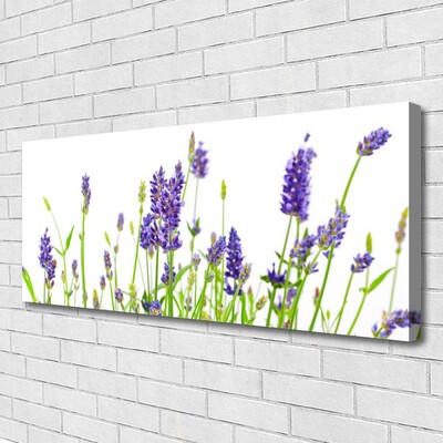 Canvas Kunstdruck Blumen Pflanzen