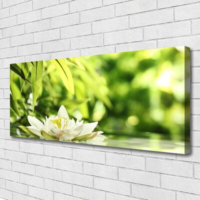 Canvas Kunstdruck Blume Blätter Pflanzen