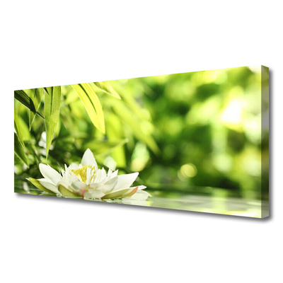 Canvas Kunstdruck Blume Blätter Pflanzen