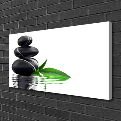 Canvas Kunstdruck Steine Blätter Wasser Kunst