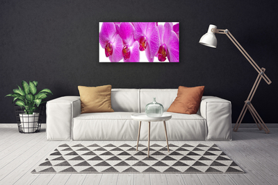 Canvas Kunstdruck Blumen Pflanzen