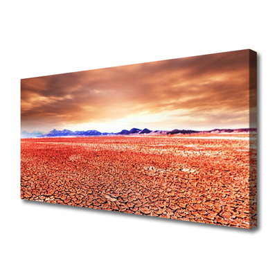 Canvas Kunstdruck Wüste Landschaft