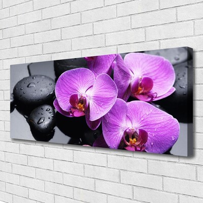 Canvas Kunstdruck Blumen Steine Pflanzen