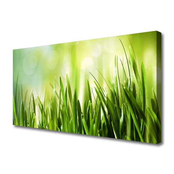 Canvas Kunstdruck Gras Natur