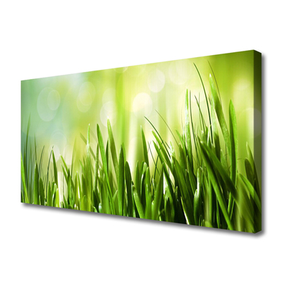 Canvas Kunstdruck Gras Natur