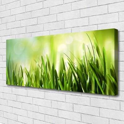 Canvas Kunstdruck Gras Natur