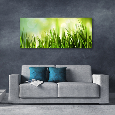 Canvas Kunstdruck Gras Natur