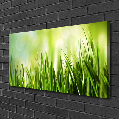 Canvas Kunstdruck Gras Natur