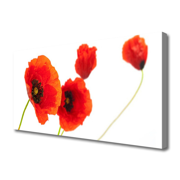 Canvas Kunstdruck Blumen Pflanzen