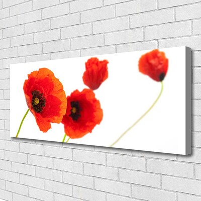 Canvas Kunstdruck Blumen Pflanzen