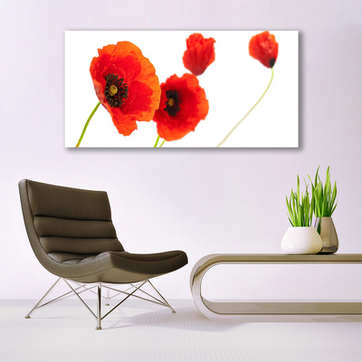 Canvas Kunstdruck Blumen Pflanzen