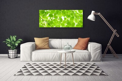 Canvas Kunstdruck Blätter Natur