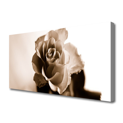 Canvas Kunstdruck Rose Pflanzen