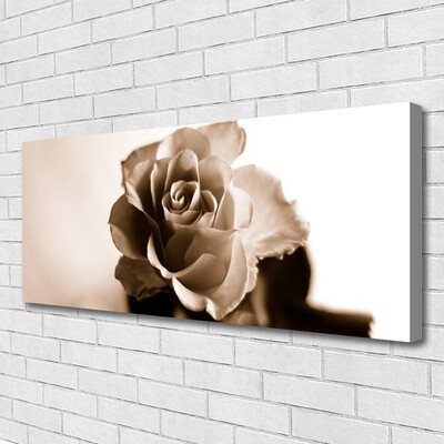 Canvas Kunstdruck Rose Pflanzen