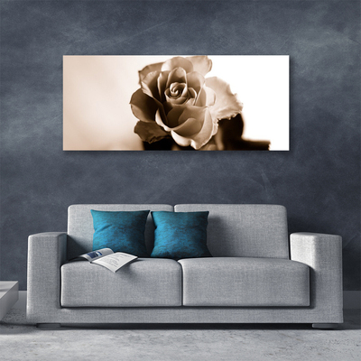 Canvas Kunstdruck Rose Pflanzen