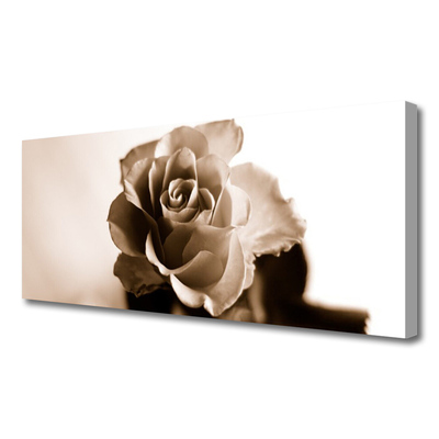 Canvas Kunstdruck Rose Pflanzen