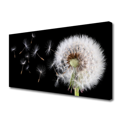 Canvas Kunstdruck Pusteblume Pflanzen