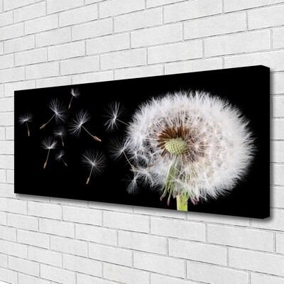 Canvas Kunstdruck Pusteblume Pflanzen