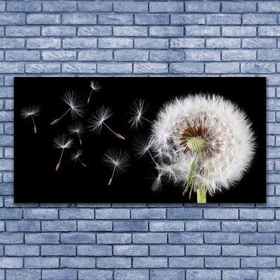 Canvas Kunstdruck Pusteblume Pflanzen