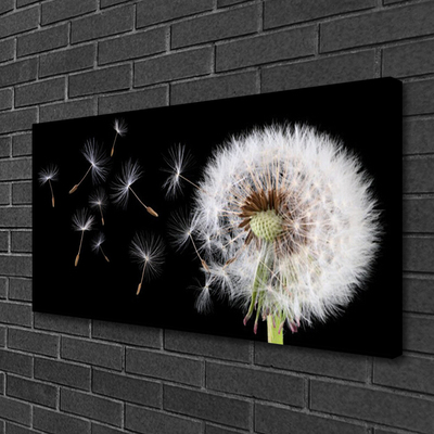 Canvas Kunstdruck Pusteblume Pflanzen